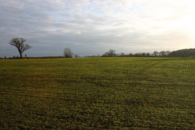 Farmland alongside A429 Ettington Road View South from lane to Loxley, over farmland bordering the A429 Ettington Road.