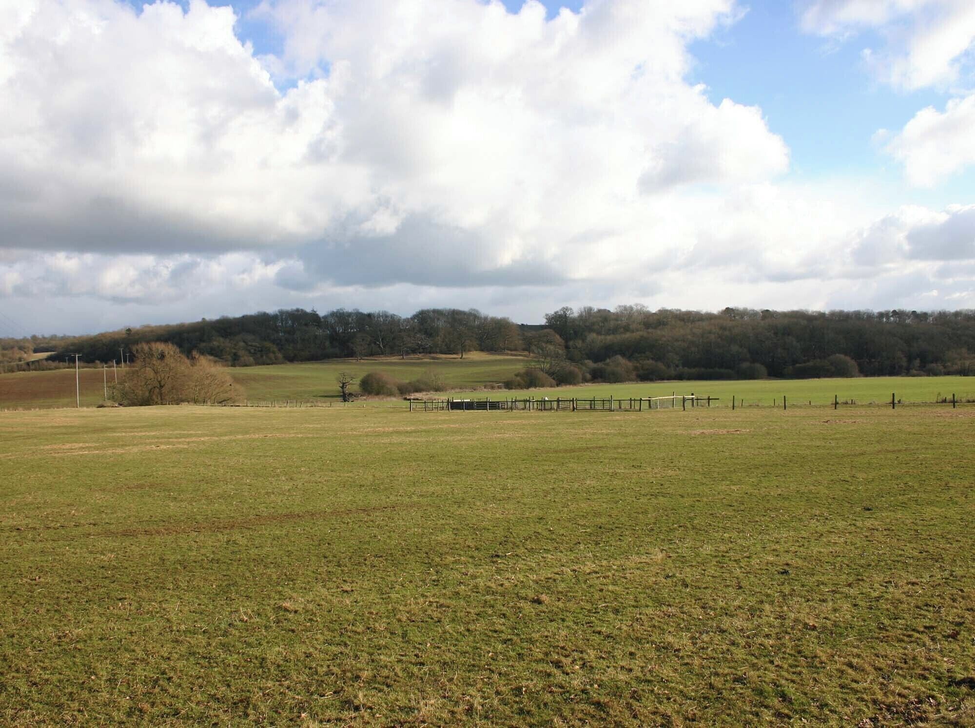 Eight Men's Math The wood on the left goes by the rather strange name of Eight Men's Math. The wood on the right is Walton Wood. Picture taken from the lane that runs past Walton Hall.