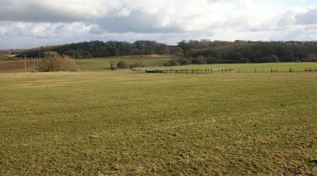 Eight Men's Math The wood on the left goes by the rather strange name of Eight Men's Math. The wood on the right is Walton Wood. Picture taken from the lane that runs past Walton Hall.
