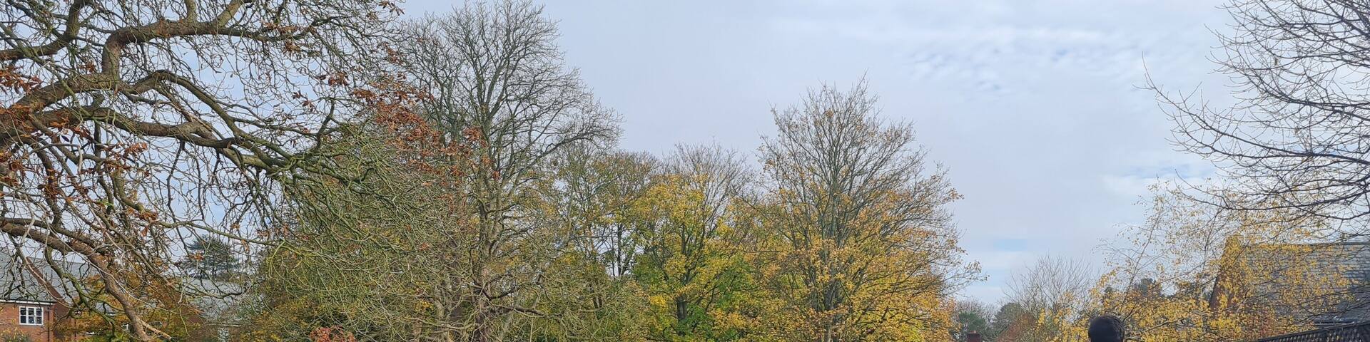 Most Beautiful Public Park and Countryside Landscape at St Albans Town of England UK