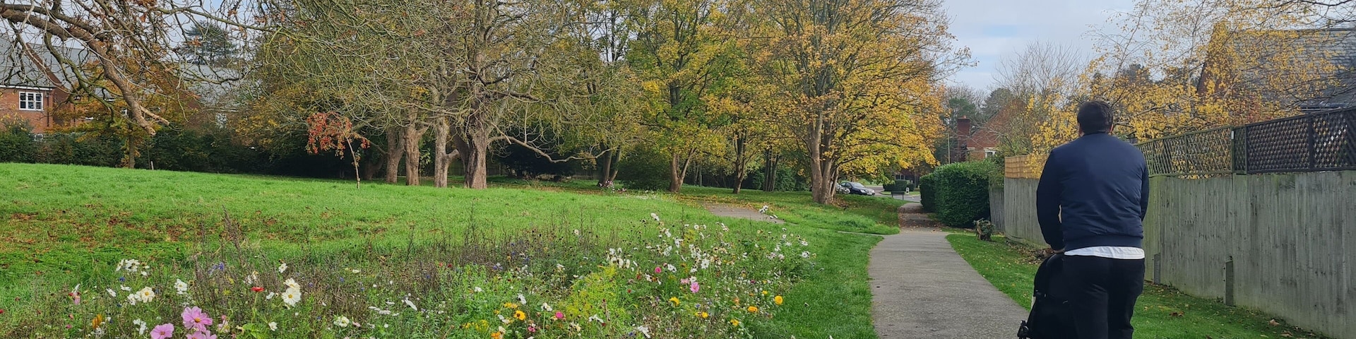 Most Beautiful Public Park and Countryside Landscape at St Albans Town of England UK