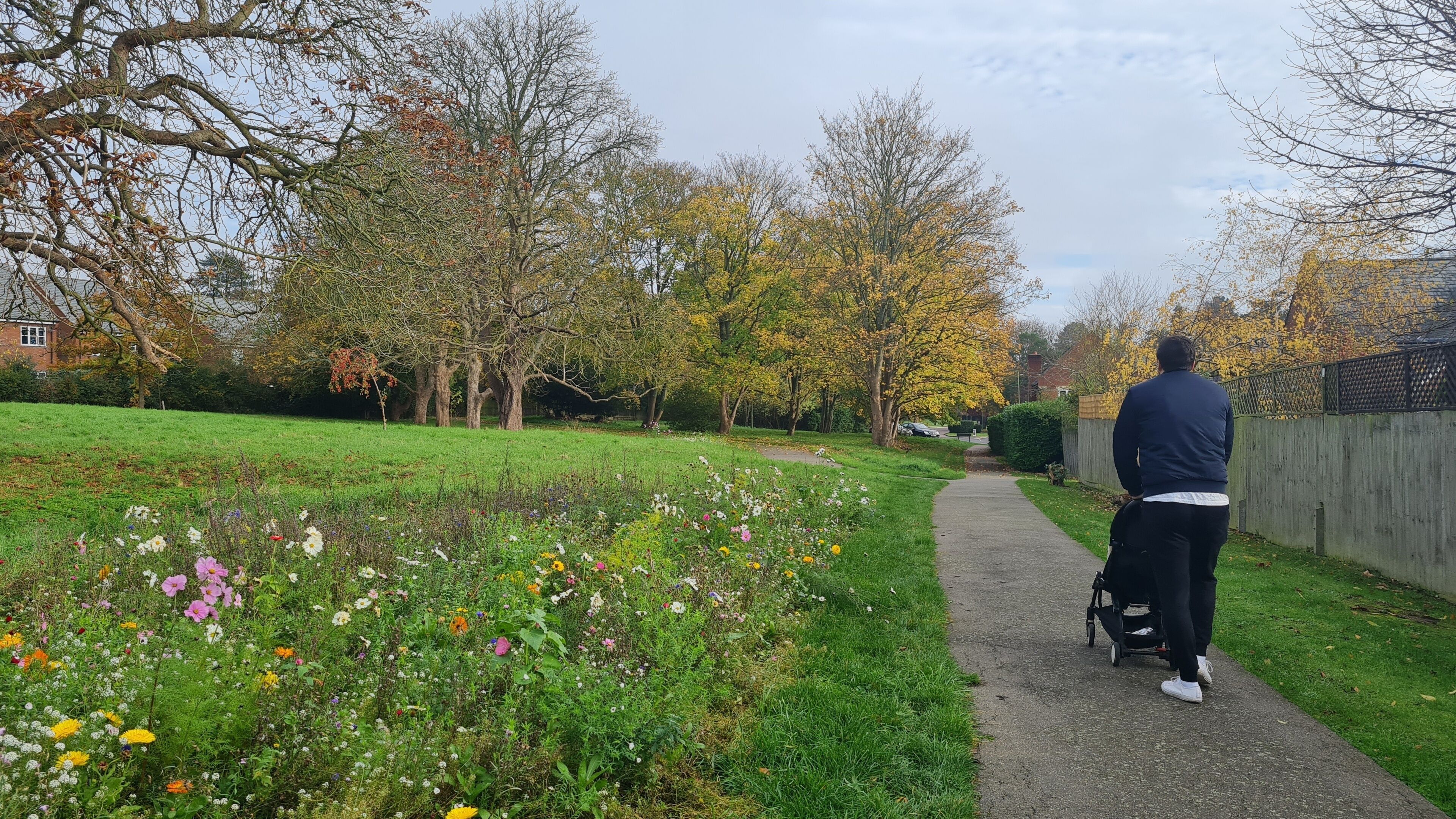 Most Beautiful Public Park and Countryside Landscape at St Albans Town of England UK