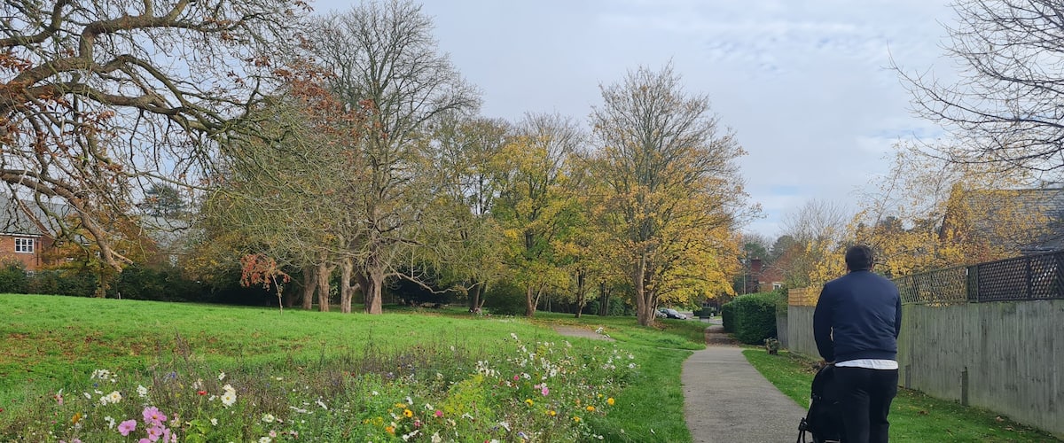 Most Beautiful Public Park and Countryside Landscape at St Albans Town of England UK
