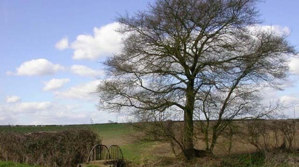 Footbridge over Brook. The view is to the west along the footpath passing over the brook.