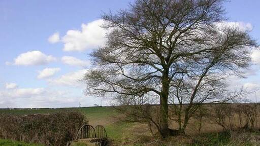 Footbridge over Brook. The view is to the west along the footpath passing over the brook.