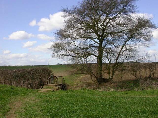 A rural landscape with a large tree, a dirt path, and a metal gate.