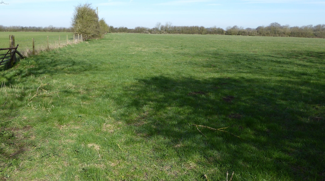 Dungee Corner Meadow is a biological Site of Special Scientific Interest south of Wellingborough in Northamptonshire.