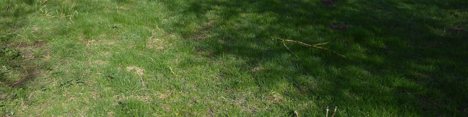 Dungee Corner Meadow is a biological Site of Special Scientific Interest south of Wellingborough in Northamptonshire.