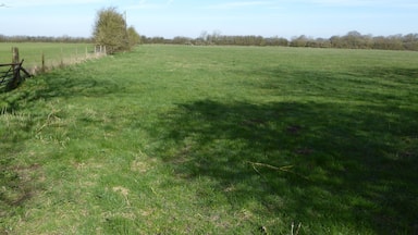 Dungee Corner Meadow is a biological Site of Special Scientific Interest south of Wellingborough in Northamptonshire.