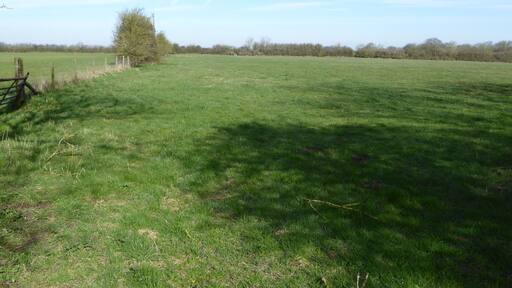 Dungee Corner Meadow is a biological Site of Special Scientific Interest south of Wellingborough in Northamptonshire.