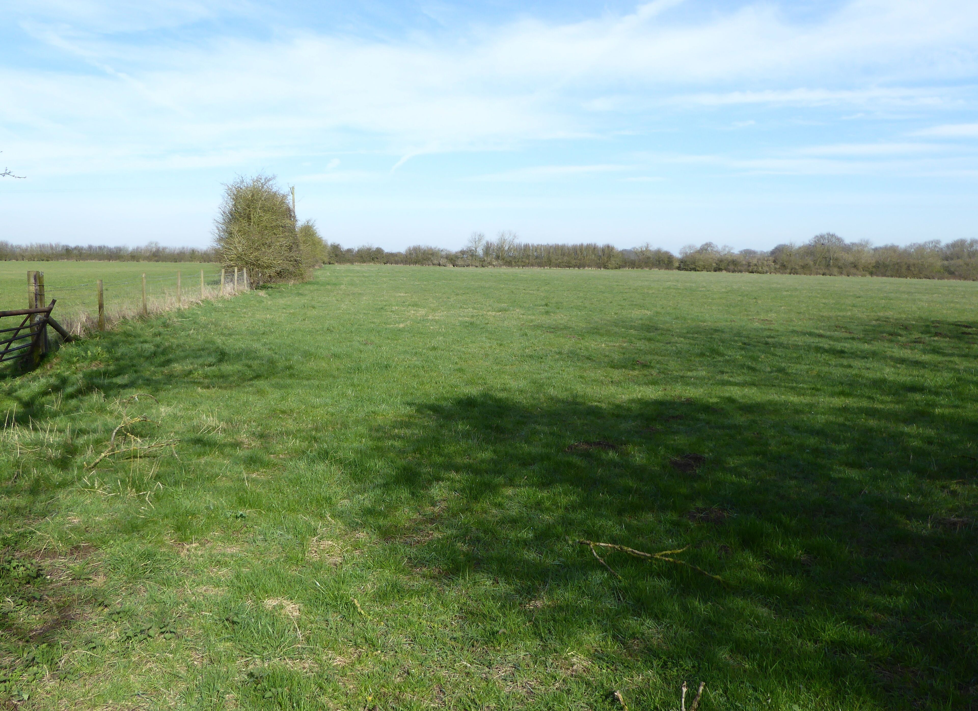 A grassy field with a wooden fence and a tree in the distance.