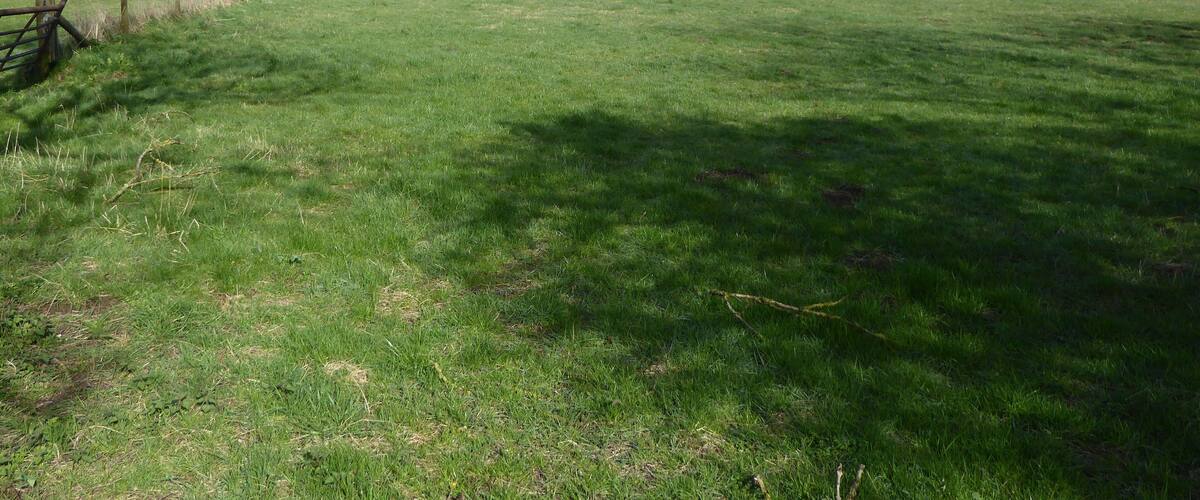A grassy field with a wooden fence and a tree in the distance.