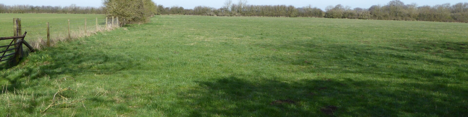 A grassy field with a wooden fence and a tree in the distance.