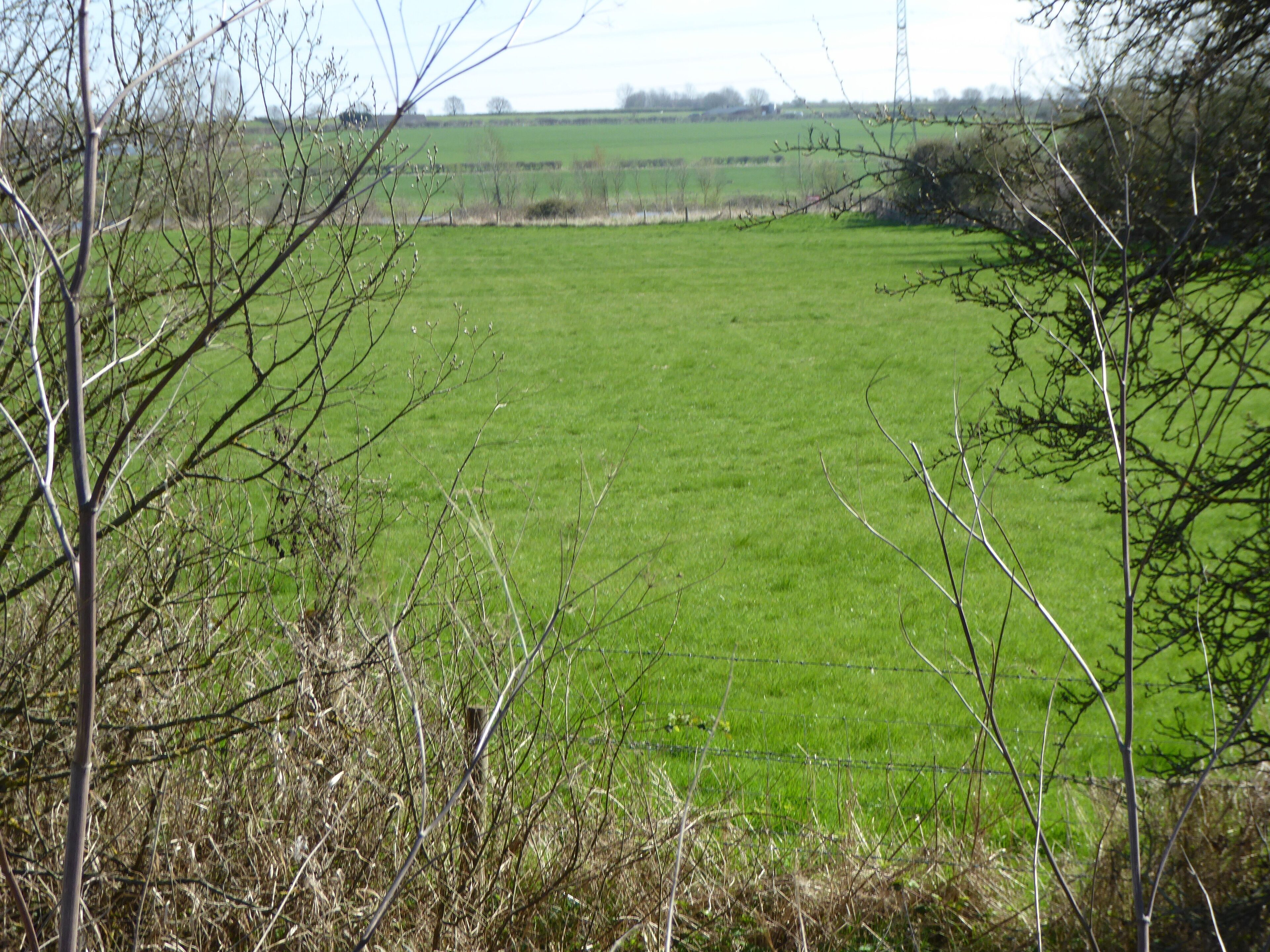 Wollaston Meadows is a biological Site of Special Scientific Interest south of Wellingborough in Northamptonshire.