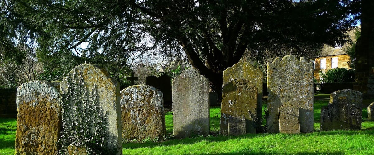 A cemetery with gravestones and a large tree in the background.