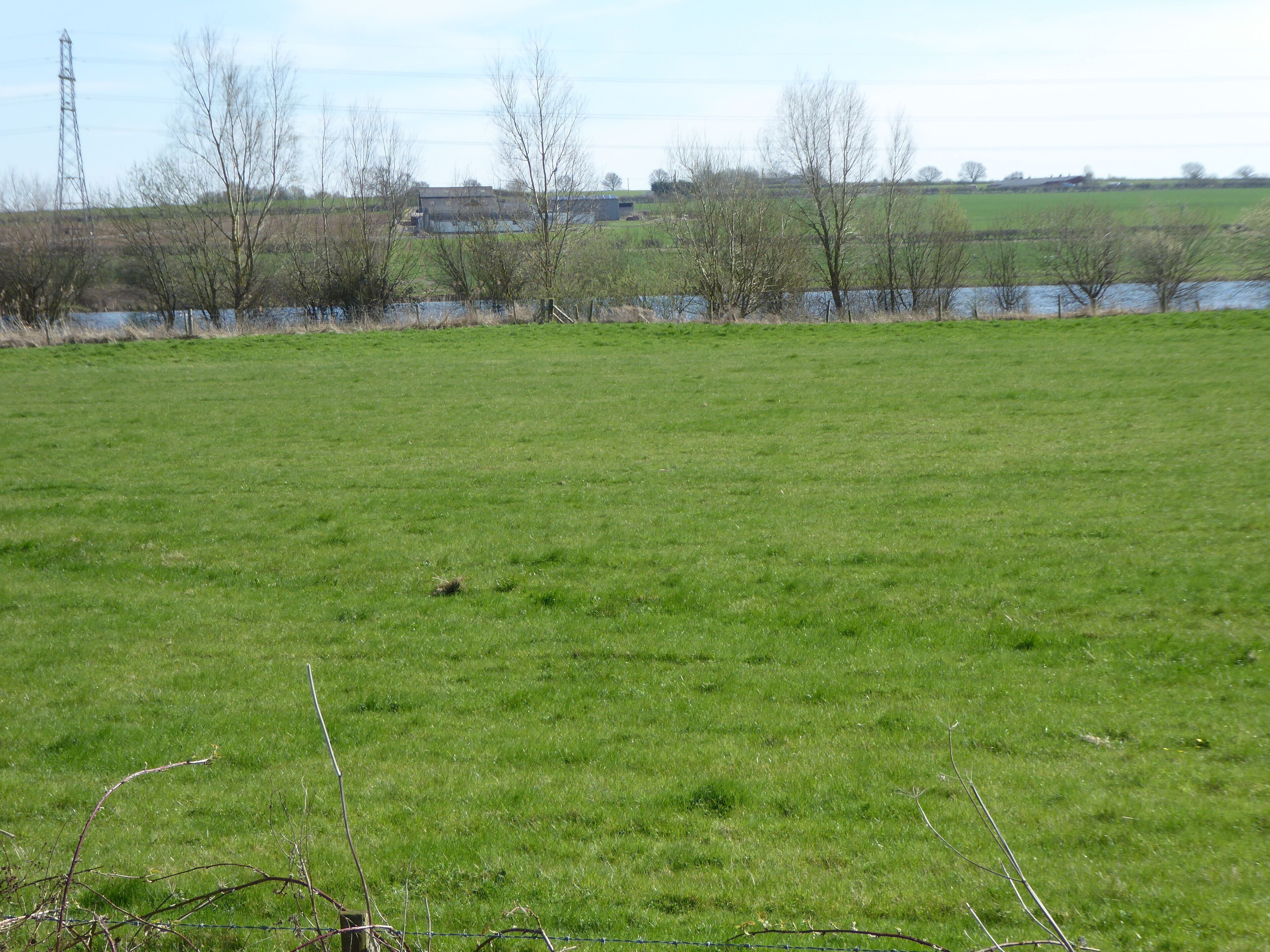 Wollaston Meadows is a biological Site of Special Scientific Interest south of Wellingborough in Northamptonshire.