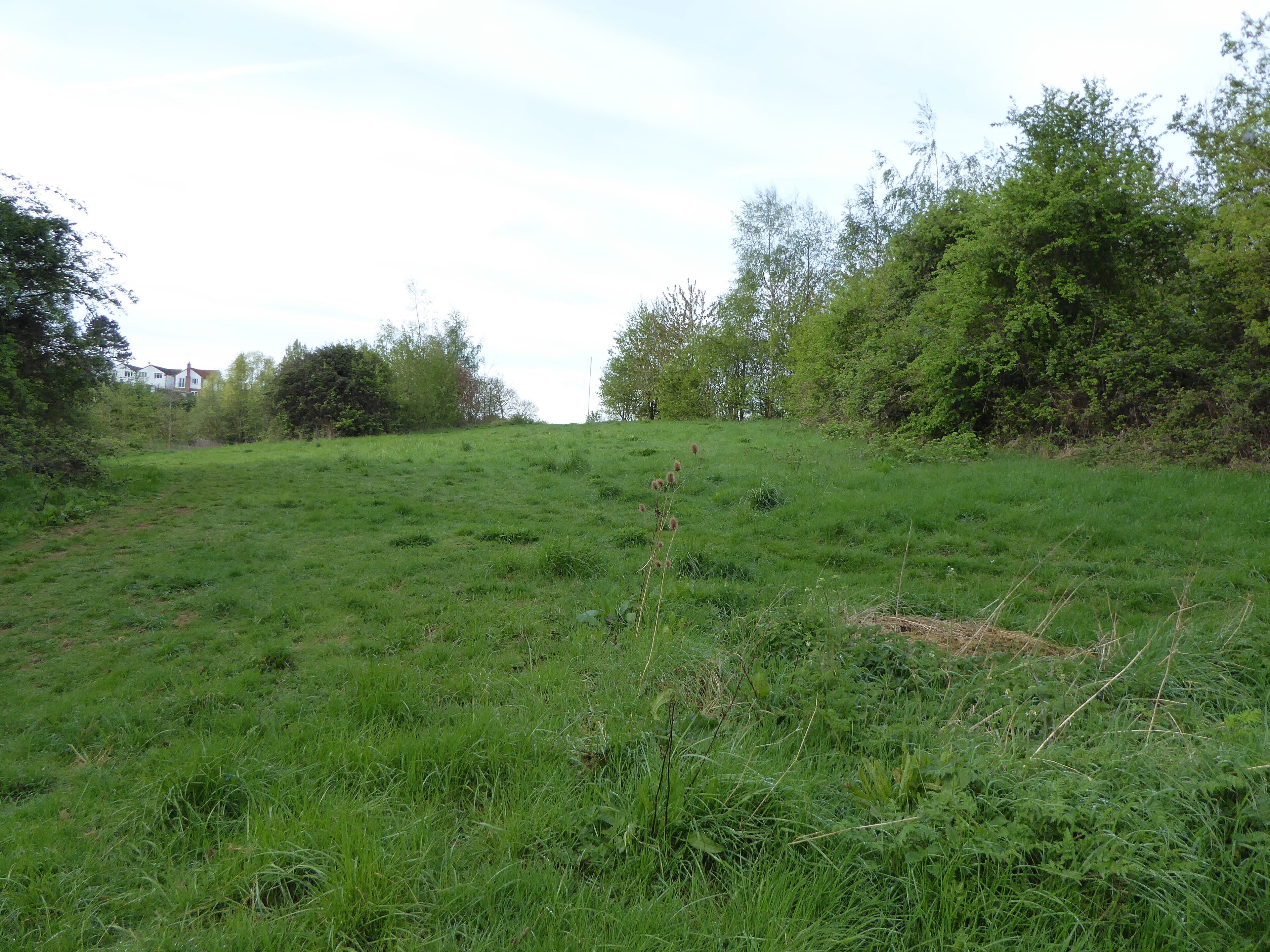 Glamis Meadow and Wood is a Local Nature Reserve in Wellingborough in Northamptonshire.