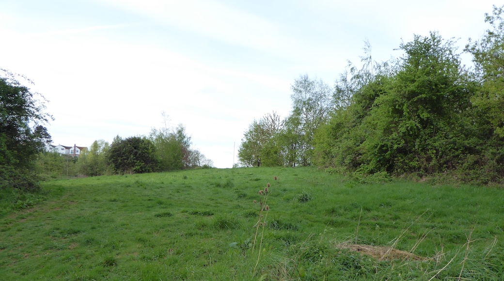 Glamis Meadow and Wood is a Local Nature Reserve in Wellingborough in Northamptonshire.