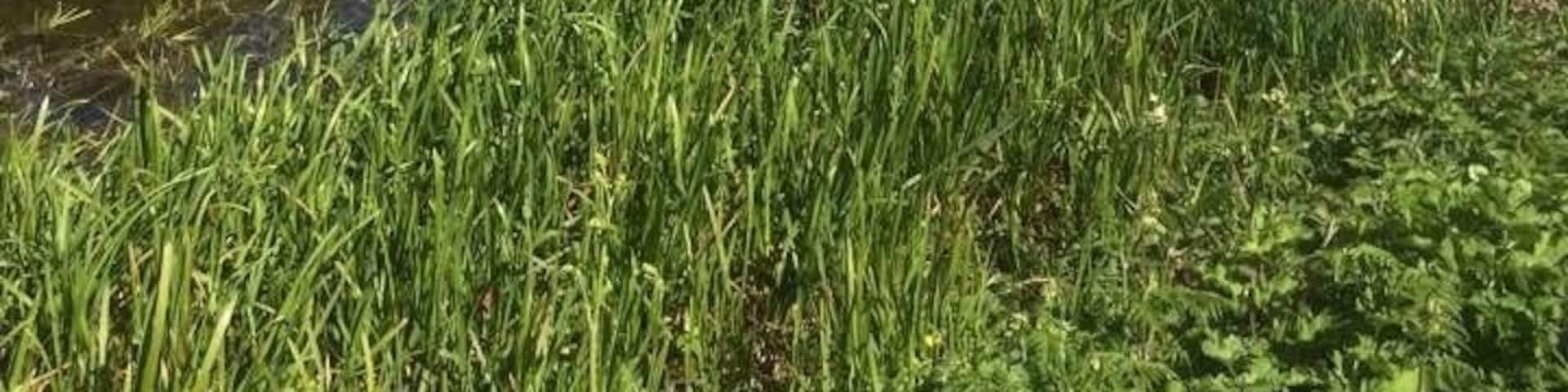 Mother Nature at her best