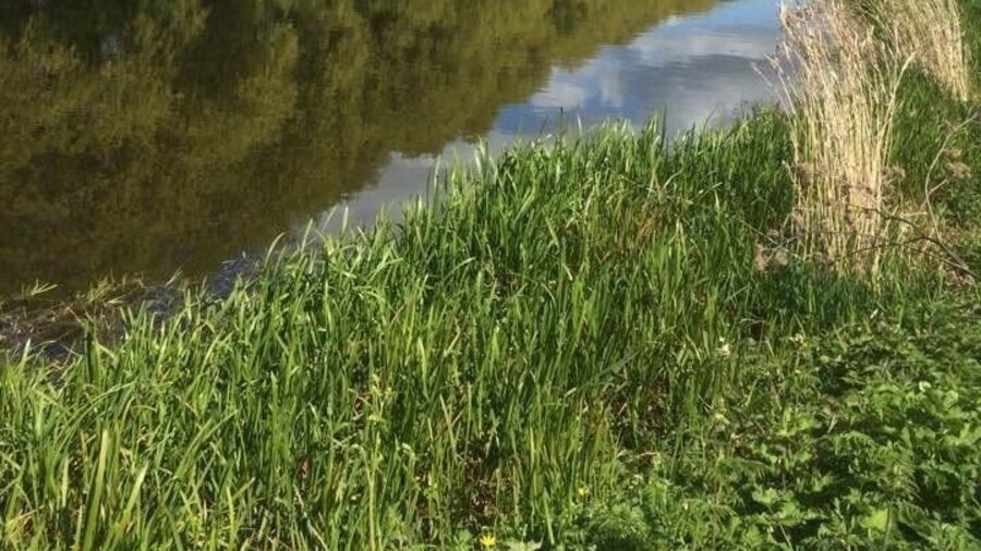 Mother Nature at her best