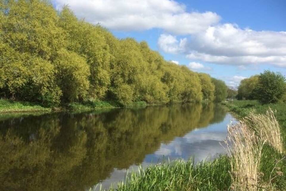 En rolig flod med frodige grønne træer på den ene side, og en klar blå himmel med skyer.