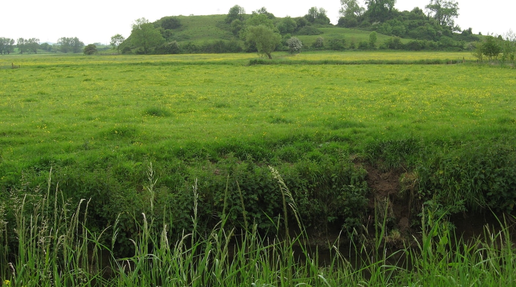 Fenny Castle Motte & Bailey.