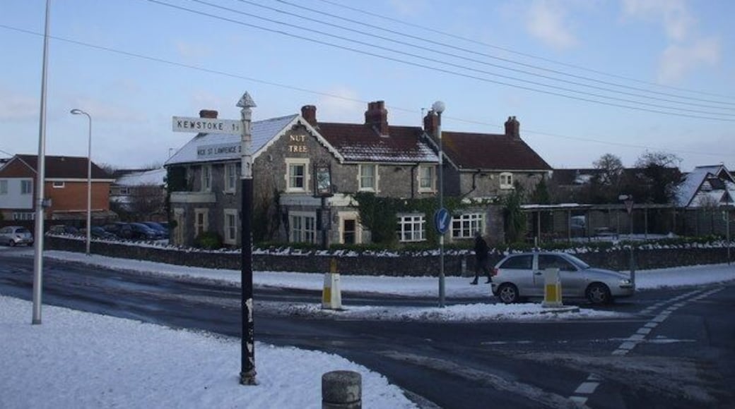 The Nut Tree, Worle
