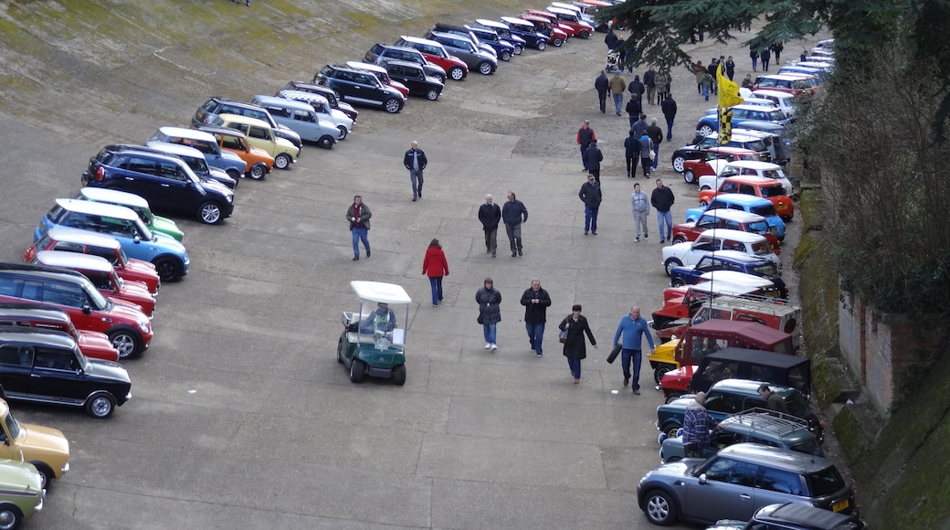 MINI DAY BROOKLANDS 2014 087