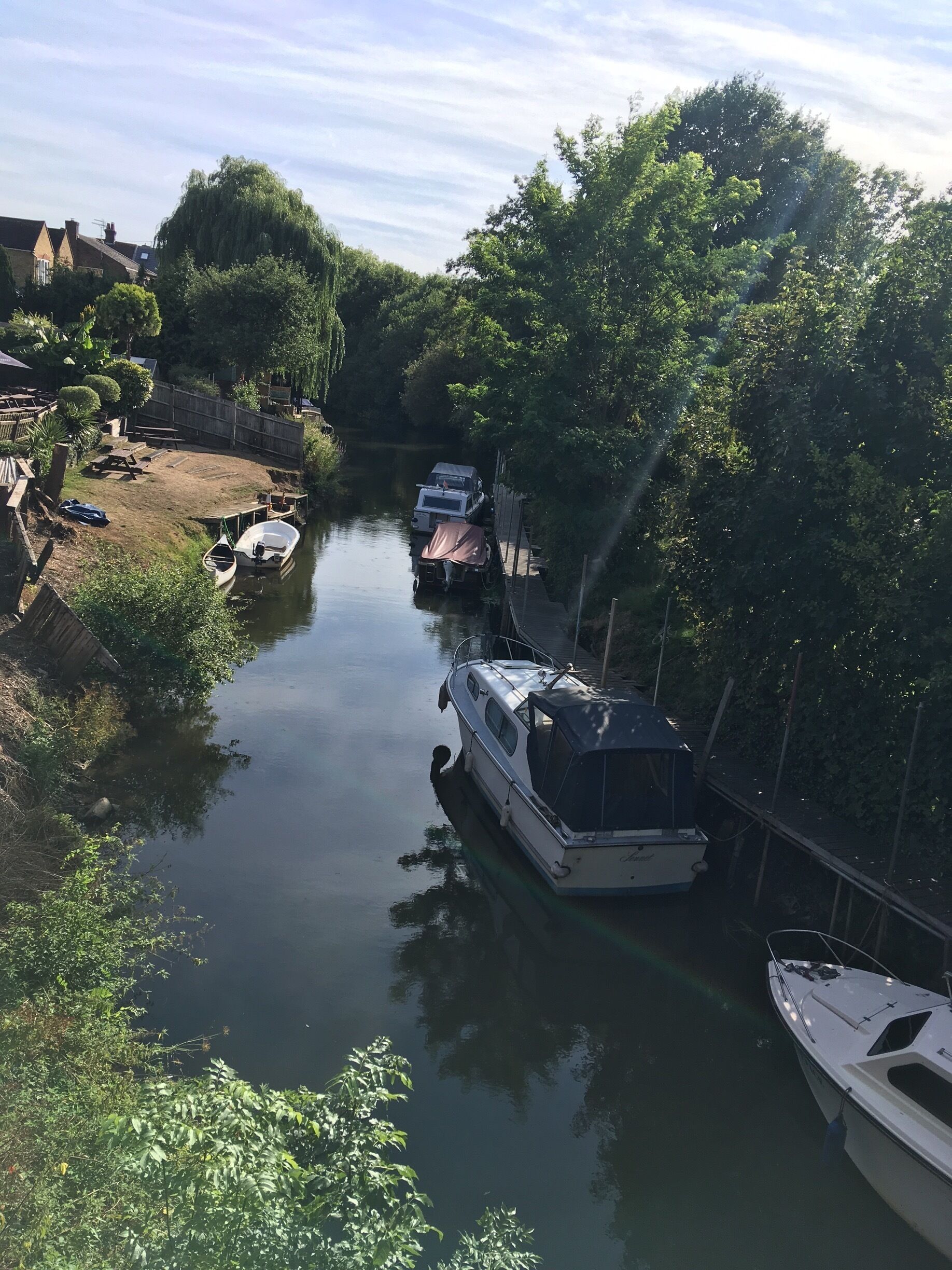The river Wey in the sunshine. Only 25 minute train from Waterloo but feels distant, and different,  from London. 