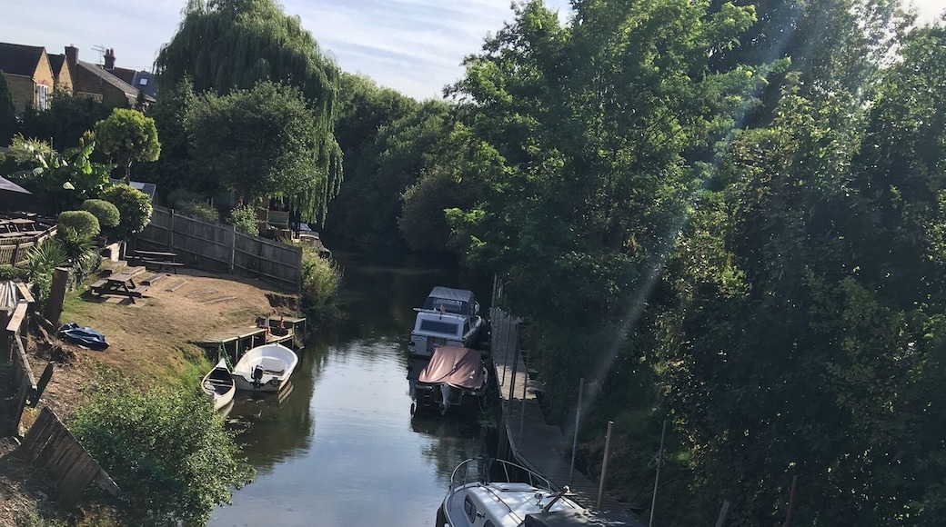 The river Wey in the sunshine. Only 25 minute train from Waterloo but feels distant, and different, from London.