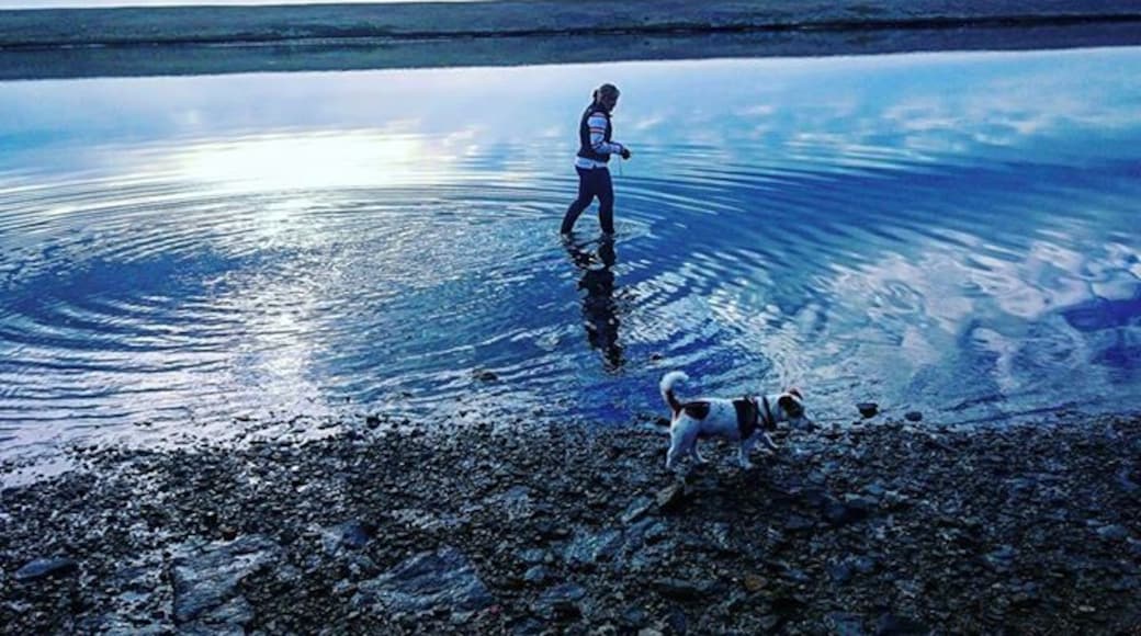 Tucked away behind Chesil Beach,its a lovely place for a walk (if you can find it)! #LoveMyTown