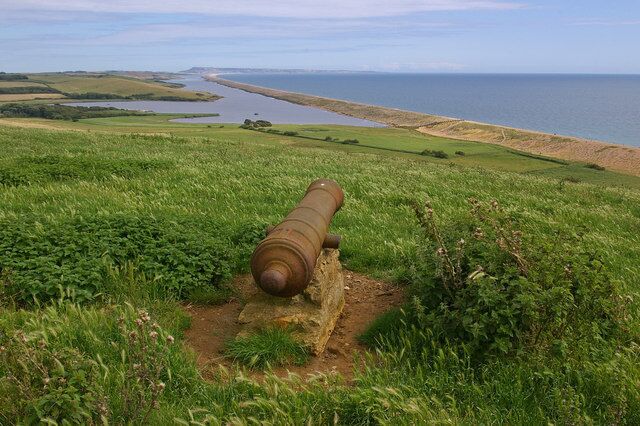 A cannon on a grassy hill overlooking a coastal area.