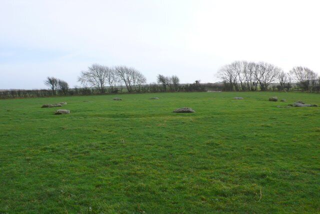 Un campo cubierto de hierba con rocas dispersas y árboles desnudos al fondo.