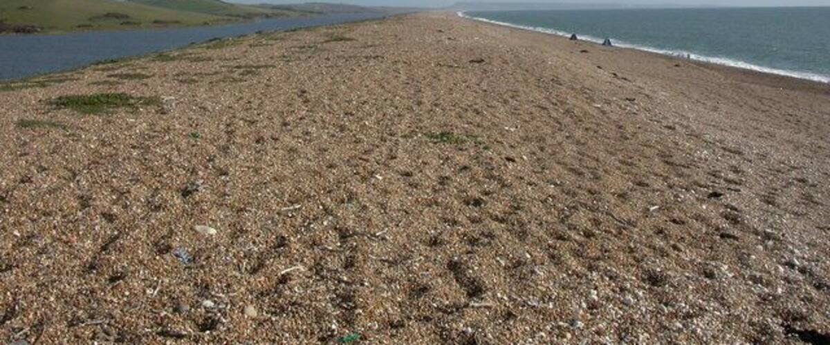 Abbotsbury, Chesil Bank Nature reserve and shingle bank, seen beyond the "No access" sign, with only a few sea anglers visible to the right; West Fleet lagoon to the left. http://www.coastlink.org/chesil/index.htm