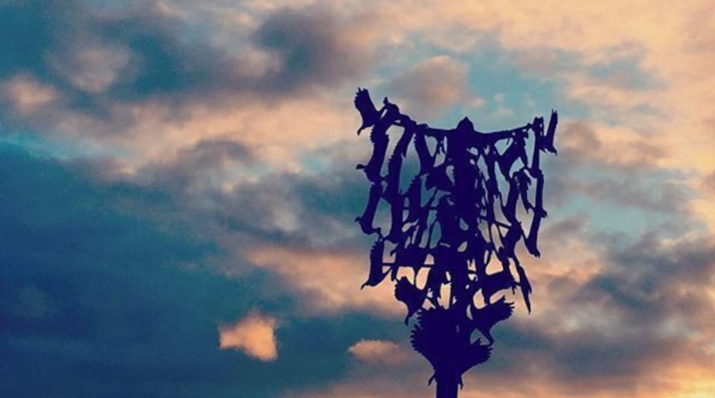 This sculpture faces out over Lough Owel, Mullingar. Pretty cool....as the sun sets
#loughowel #mullingar #irishlakeland #loveireland #ireland #westmeath #sunrise_sunsets_aroundworld #irishsunsets