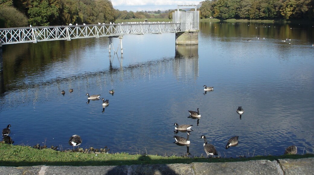 Worthington Reservoir, Worthington Lakes, Worthington, Wigan.