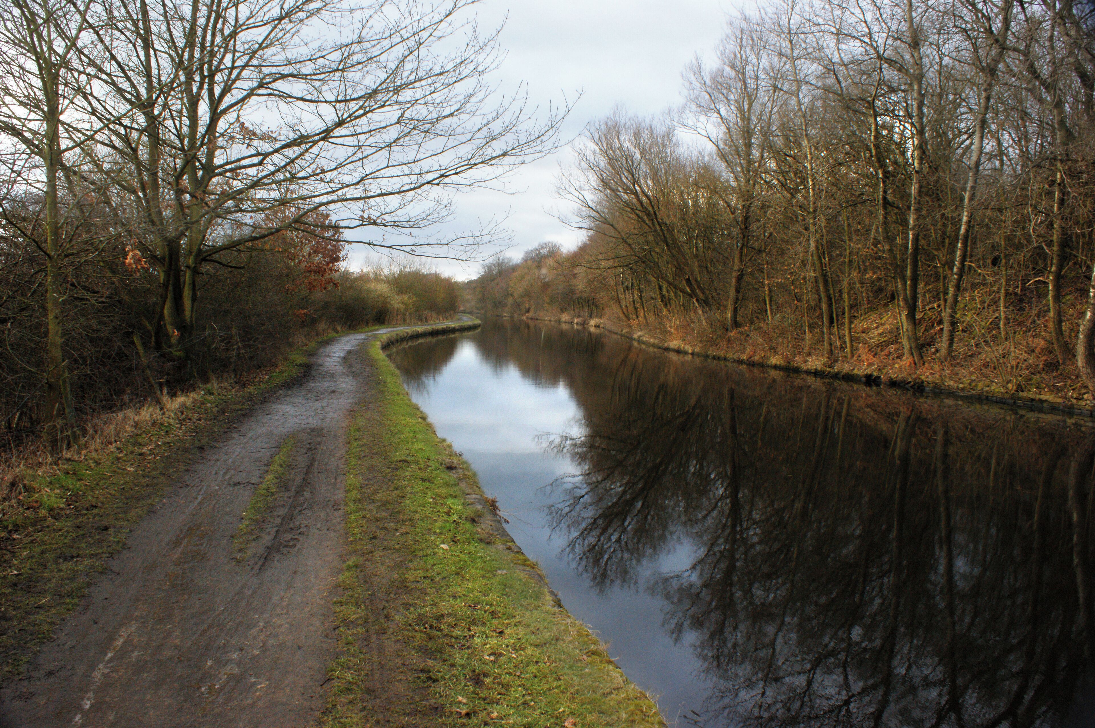 The Leeds Liverpool Canal below Haigh Upper Plantations
