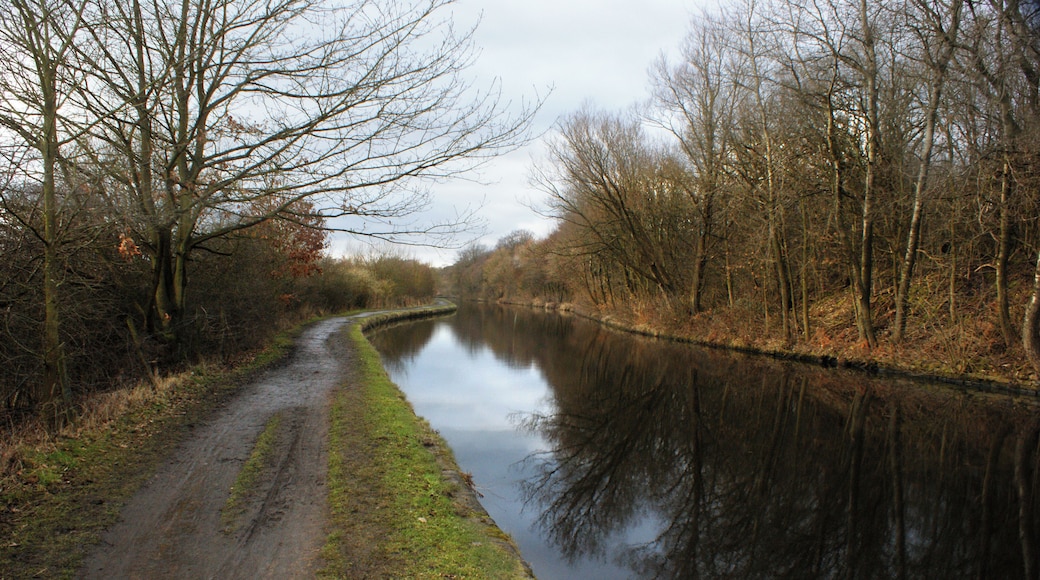 The Leeds Liverpool Canal below Haigh Upper Plantations