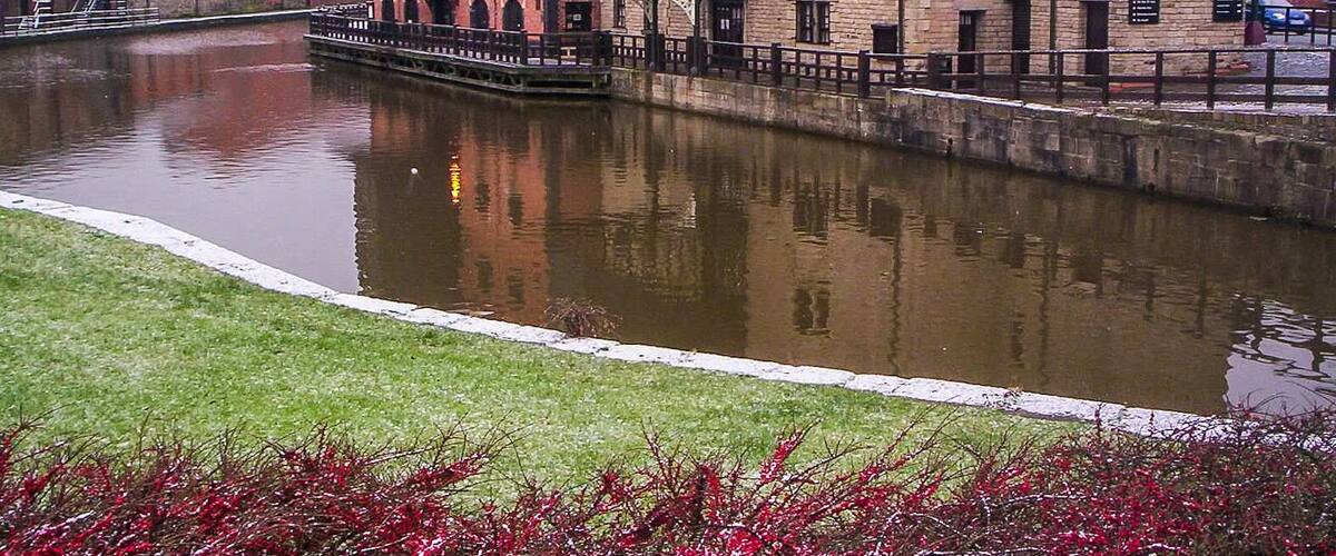 A canal with buildings on one side and a grassy area with red shrubs in the foreground.