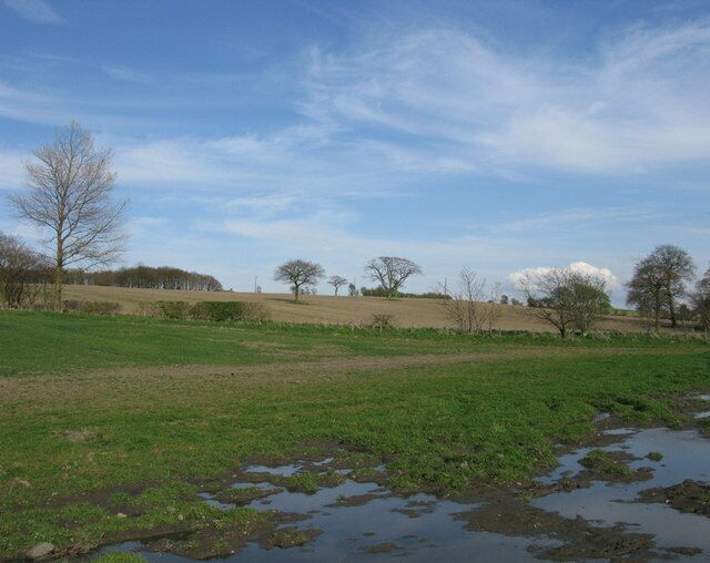 Un paisaje rural con un campo cubierto de hierba, un charco y árboles sin hojas bajo un cielo despejado.