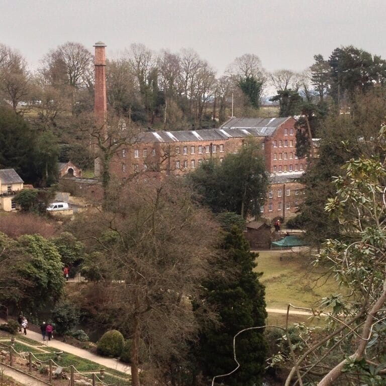 View from top garden. 