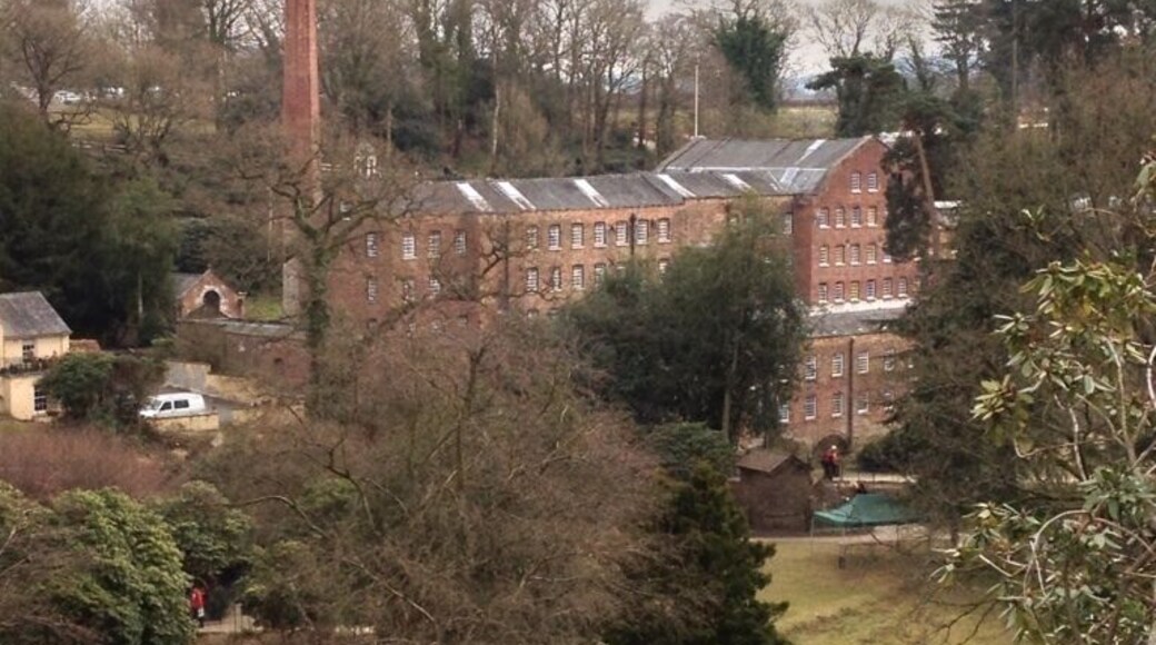 View from top garden.