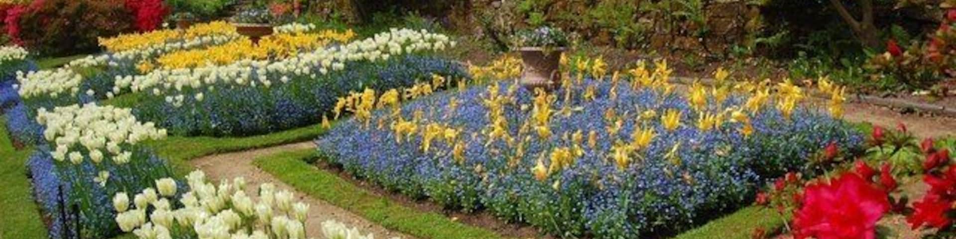 Formal Garden, Quarry Bank Mill This section of the former mill-owners garden is laid out in a formal pattern.