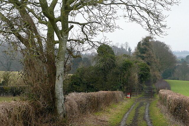 Bridleway towards Wonston One of the former drove roads on this upland chalk area, now a bridleway. The recently installed gate is just in the next square north.