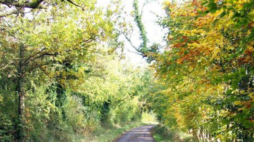 Bransbury - Lane Autumn comes to this narrow lane.