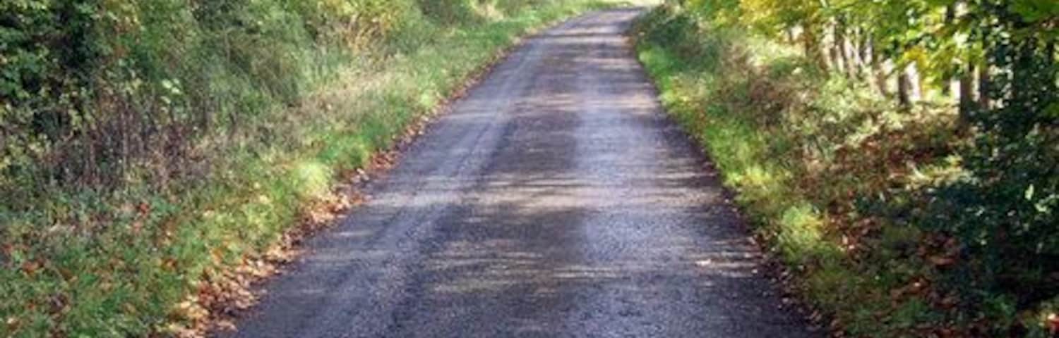 Bransbury - Lane Autumn comes to this narrow lane.