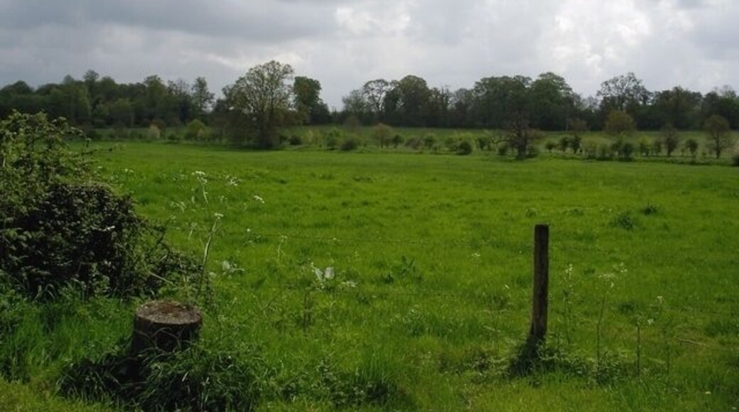 Fields and the River Dever, east of West Stratton. The river's source is in this square and the small trees and bushes indicate its route.