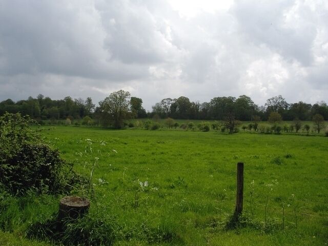 A green field with a wooden post, trees, and a cloudy sky.