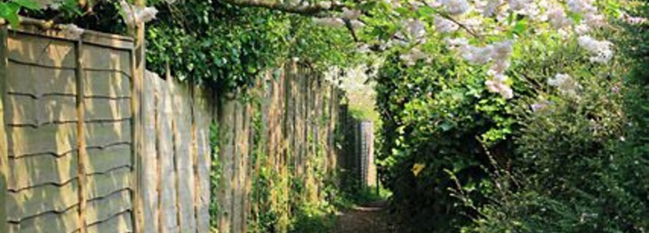 Um caminho estreito com uma parede de tijolos de um lado e uma cerca de madeira do outro, rodeado por vegetação exuberante e árvores floridas.