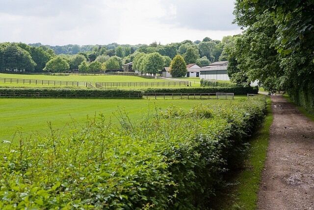 Approaching Blackness Buildings on footpath The fields and buildings are, I presume, part of Littleton Stud farm.